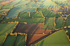 Champs agricoles