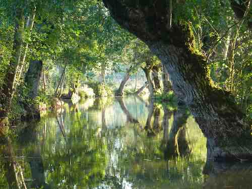 La Passerelle au dessus du Marais Poitevin