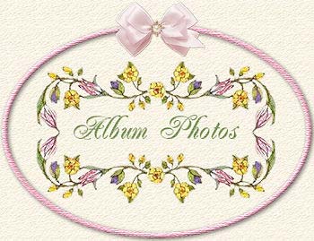 Photos Bichons
