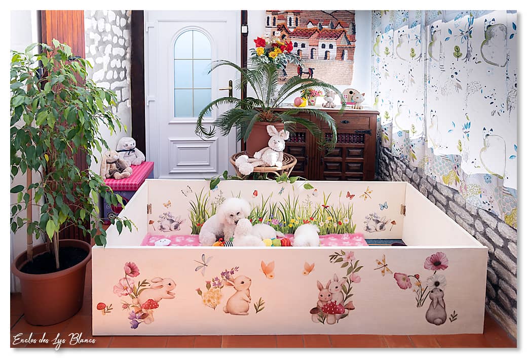 la nursery des chiots