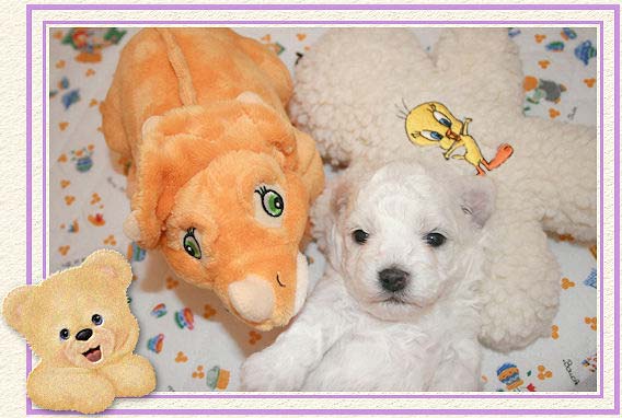 Un chiot et un dinosaure en peluche orange