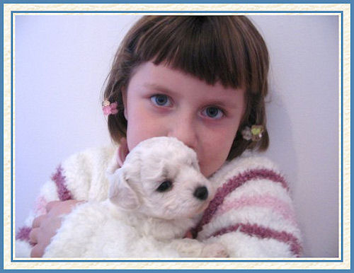 Un chiot dans les bras d'une petite fille