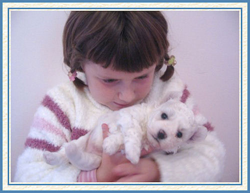 Une enfant tenant un chiot blanc dans les bras