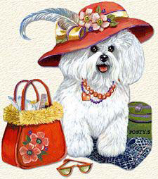 Bichon frisé et chapeau rouge