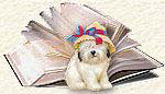 Chien et livre