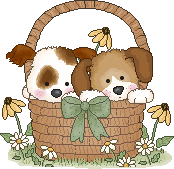 Chiots panier