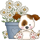 Petit Chien