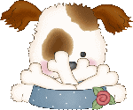 Chien et os
