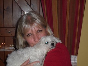 Chiot bichon frisé dans les bras d'une dame