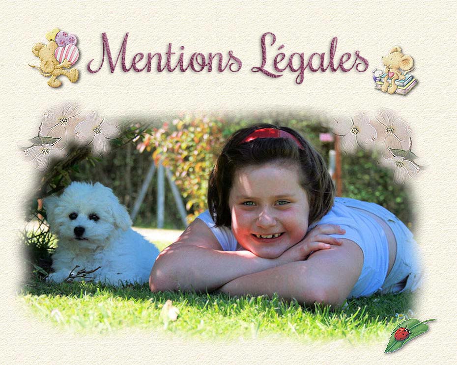 Un chiot bichon frisé et une petite fille dans l'herbe