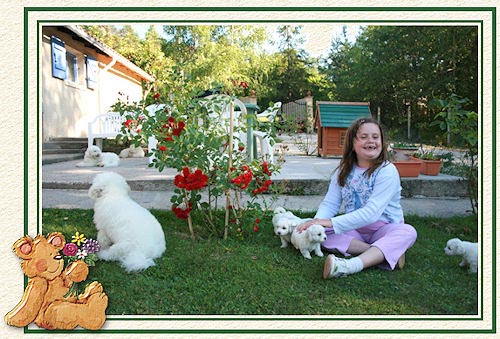 Petite fille au jardin avec des chiens blancs