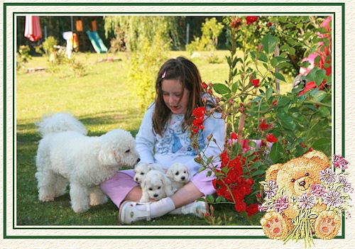 Une fillette ayant sur ses genoux des chiots