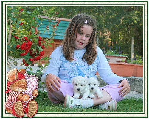 2 chiots bichons frisés et une petite fille