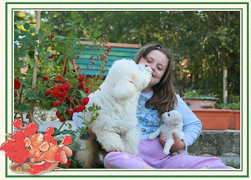 Un chiot qui fait un bisou à une fillette