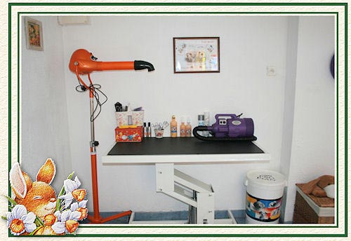 Salon de toilettage