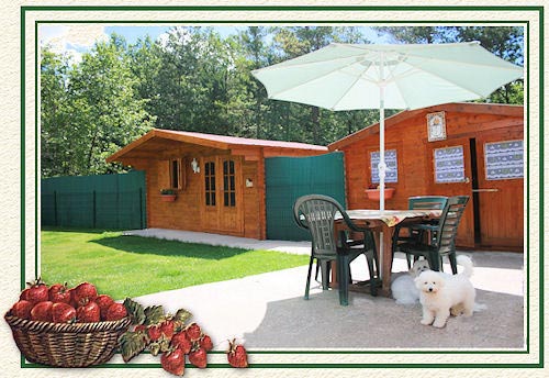 Les chalets et 2 bichons