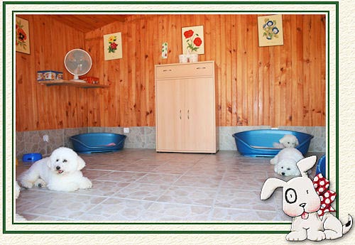 L'intérieur du chalet