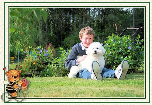 Chien au jardin avec un enfant